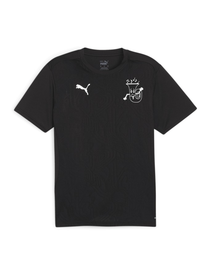 PUMA teamFINAL Trainingsshirt