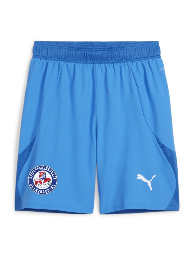 PUMA teamFINAL Shorts