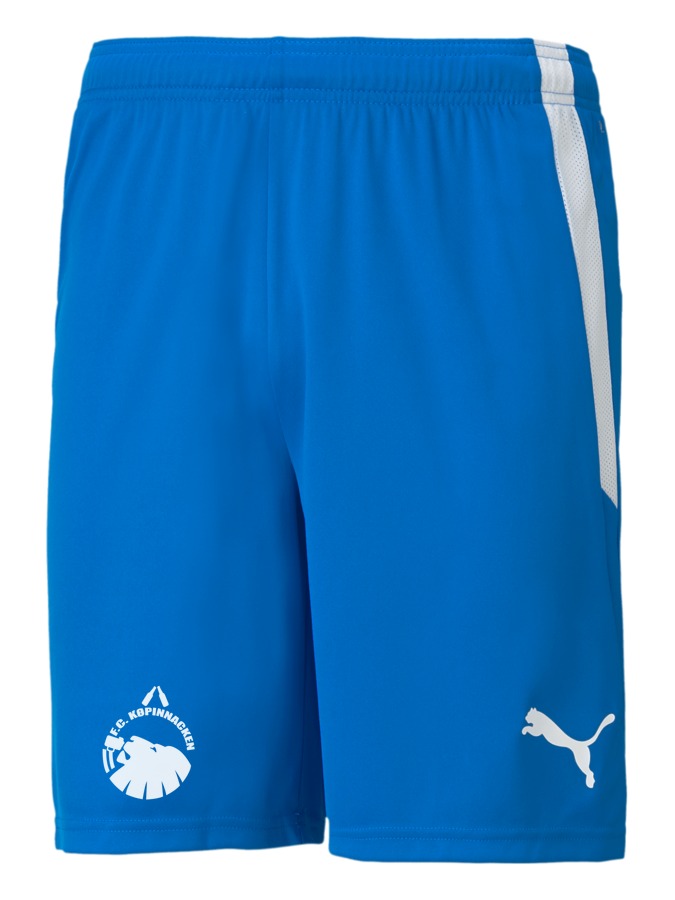 PUMA teamLIGA Shorts