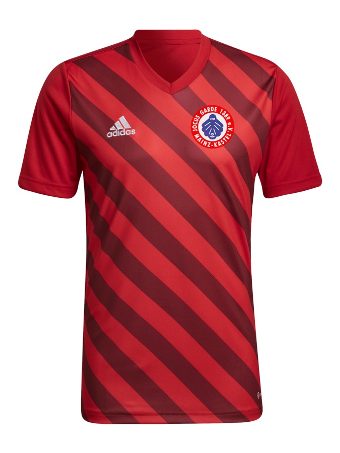 adidas Entrada 22 GFX Trikot