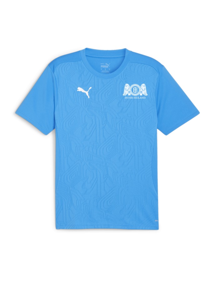 PUMA teamFINAL Trainingsshirt