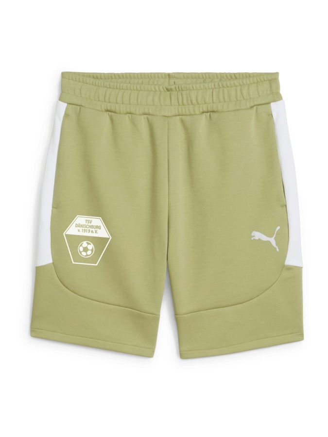 PUMA teamEVOSTRIPE Shorts