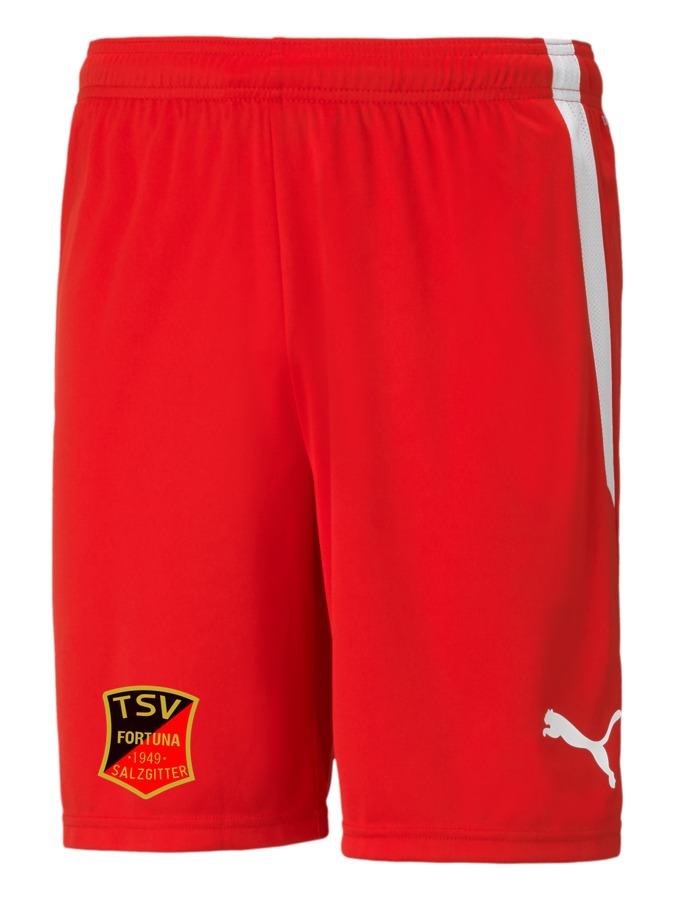 PUMA teamLIGA Shorts