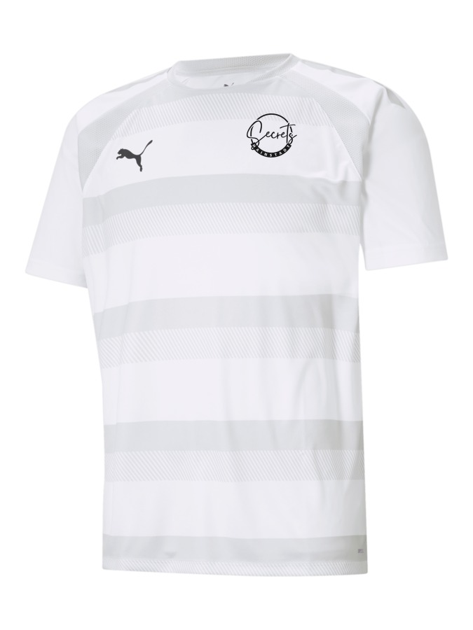 PUMA teamVISION Trikot