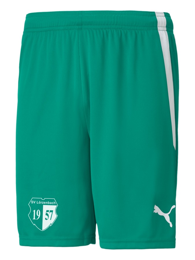 PUMA teamLIGA Shorts