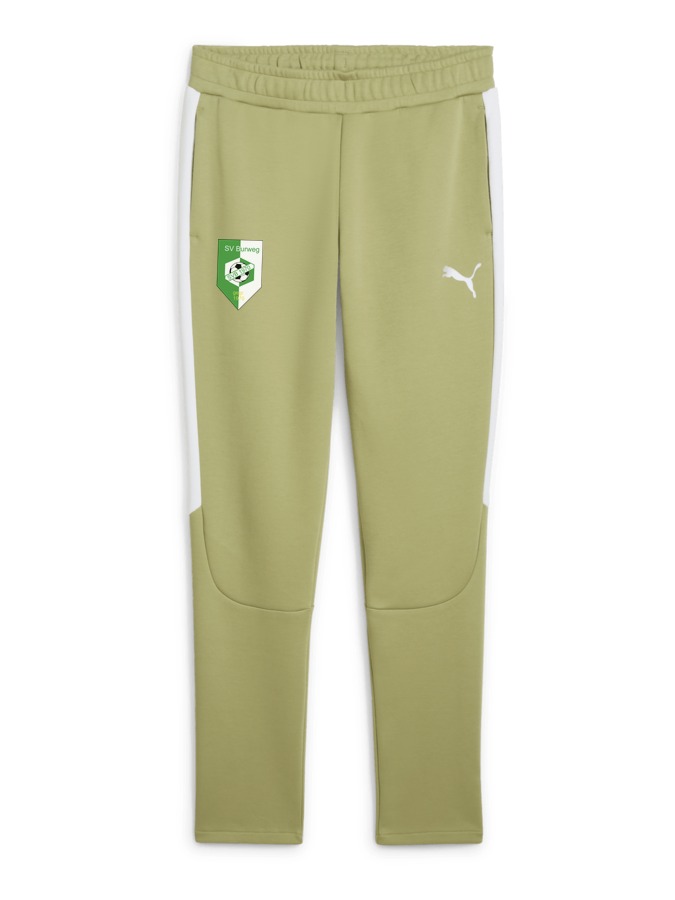 PUMA teamEVOSTRIPE Hose