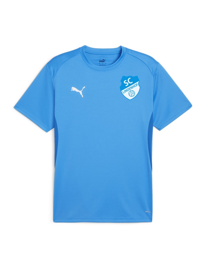 PUMA teamGOAL Trikot