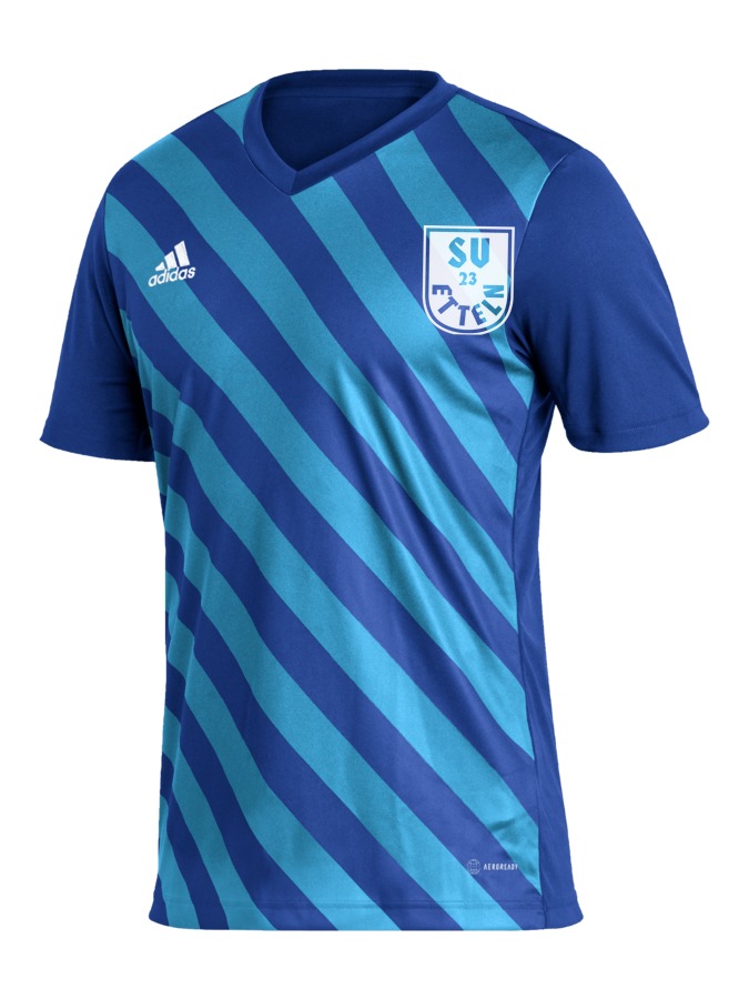 adidas Entrada 22 GFX Trikot