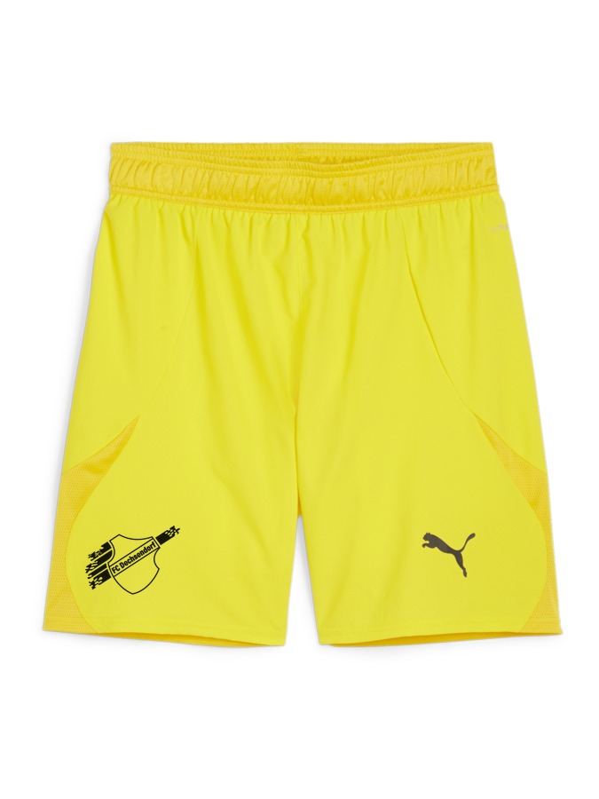 PUMA teamFINAL Shorts