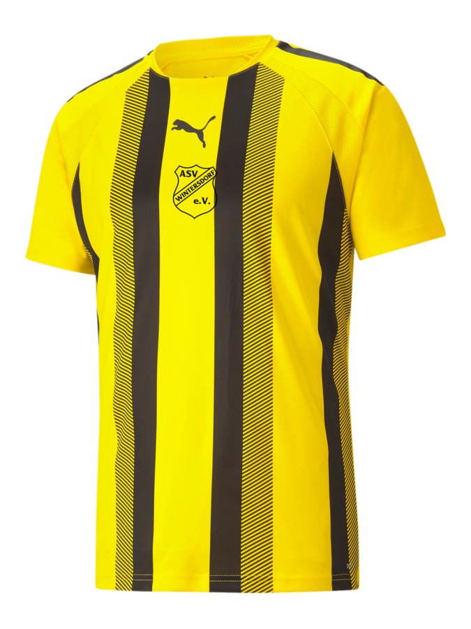 PUMA teamLIGA Striped Trikot
