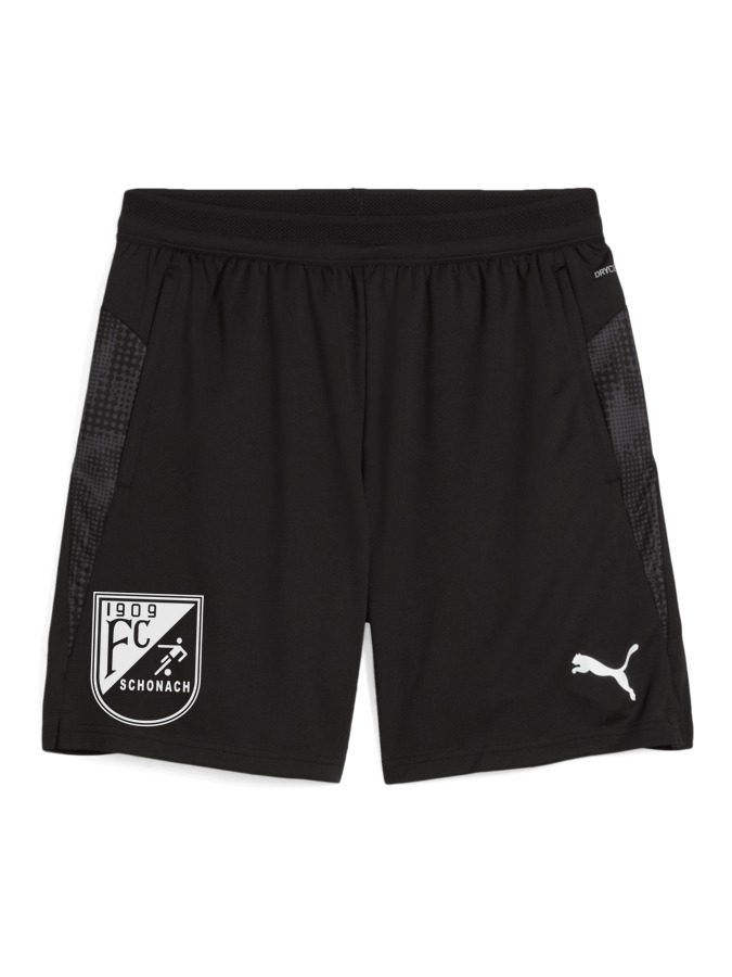 PUMA teamCUP Training Shorts