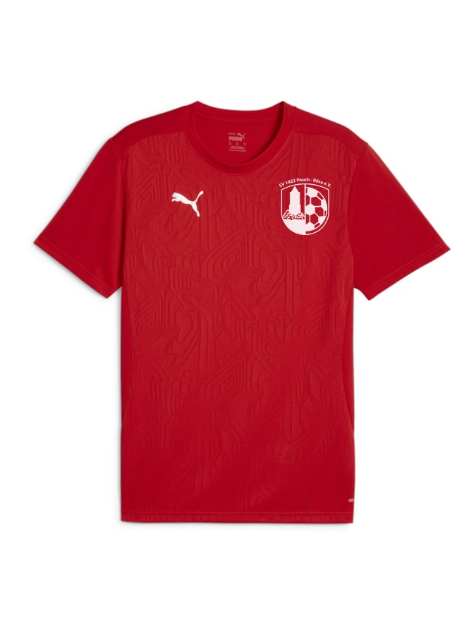 PUMA teamFINAL Trainingsshirt
