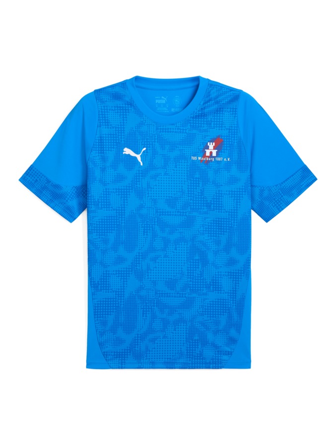 PUMA teamCUP Trainingsshirt