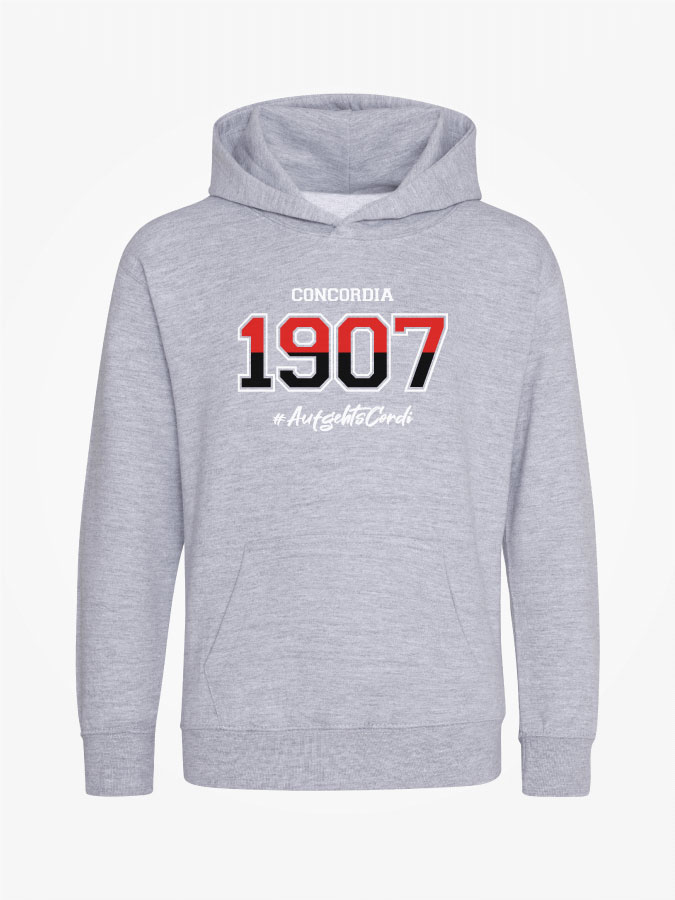 Hoodie Established Kids