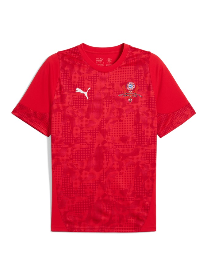 PUMA teamCUP Trainingsshirt