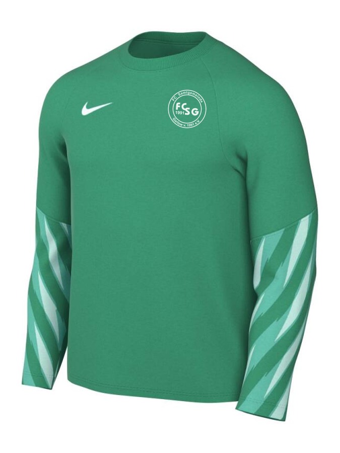 Nike Dri-FIT Park V Torwart Trikot Langarm