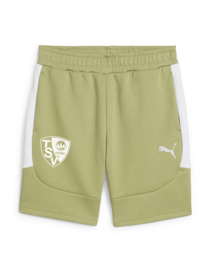 PUMA teamEVOSTRIPE Shorts