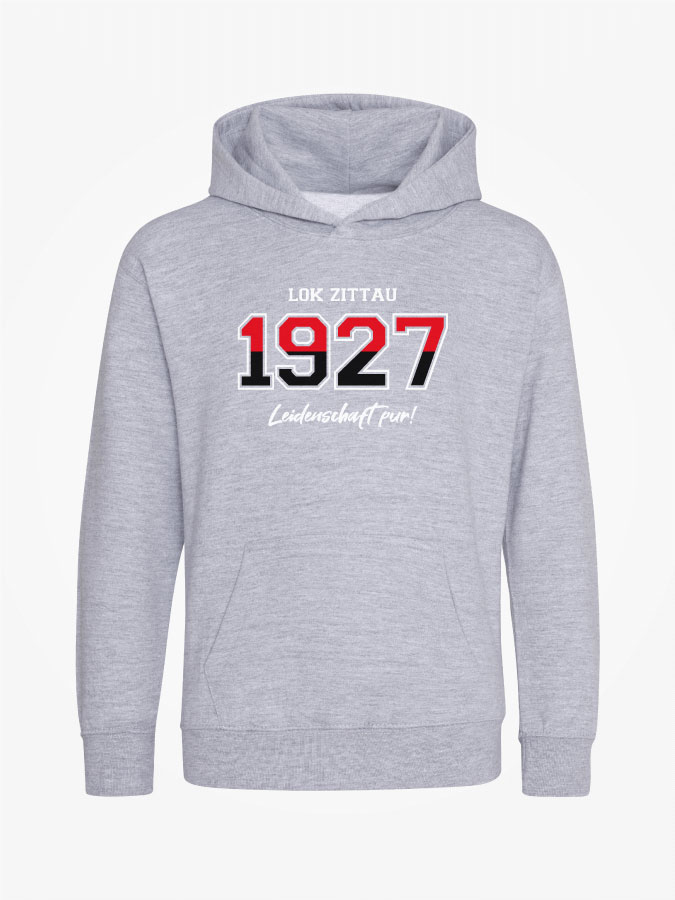 Hoodie Established Kids