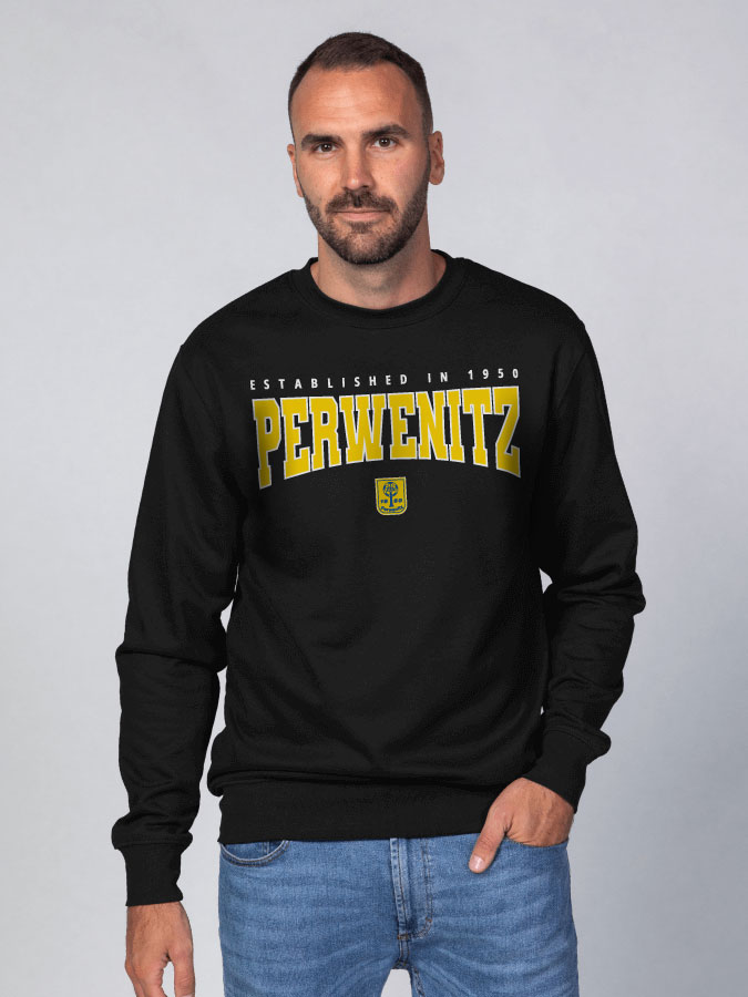 Sweater Retro Herren