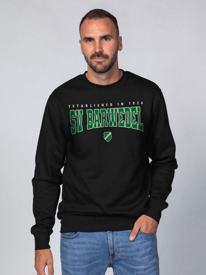 Sweater Retro Herren
