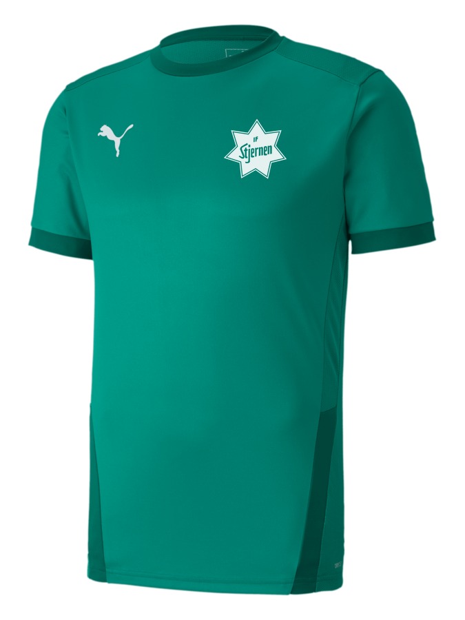 PUMA teamGOAL 23 Trikot
