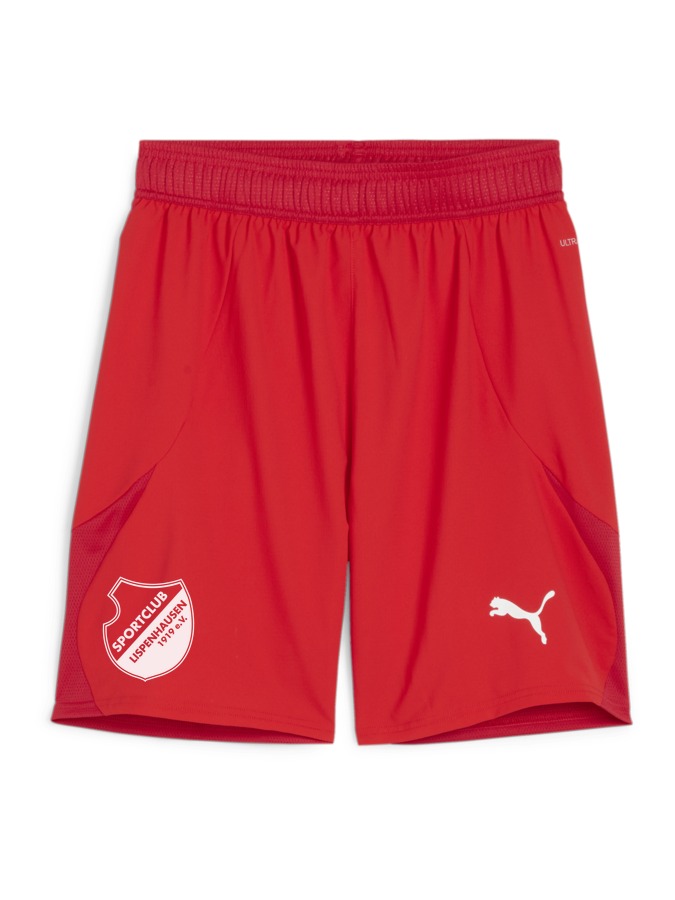 PUMA teamFINAL Shorts