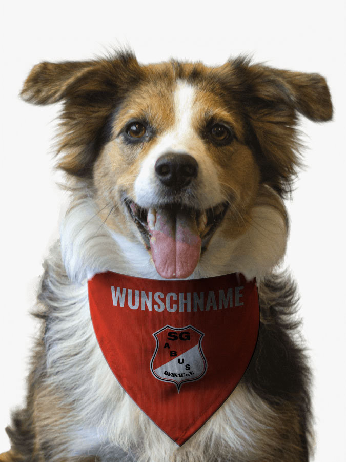 Hundehalstuch