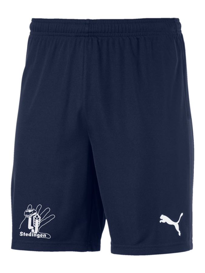 PUMA teamGOAL 23 Knit Shorts