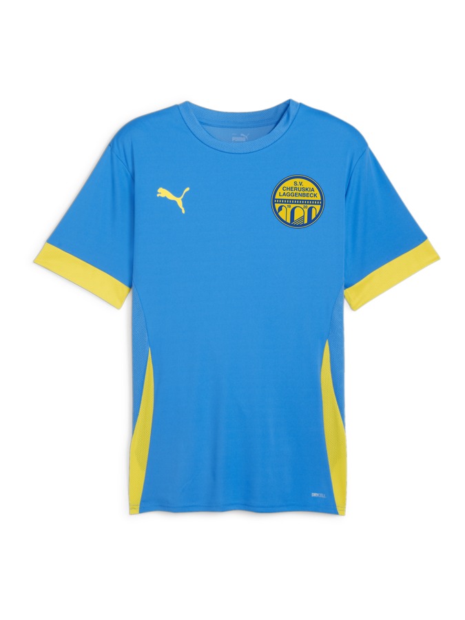 PUMA teamGOAL Matchday Trikot