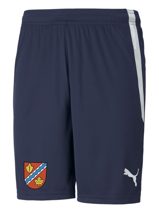 PUMA teamLIGA Shorts