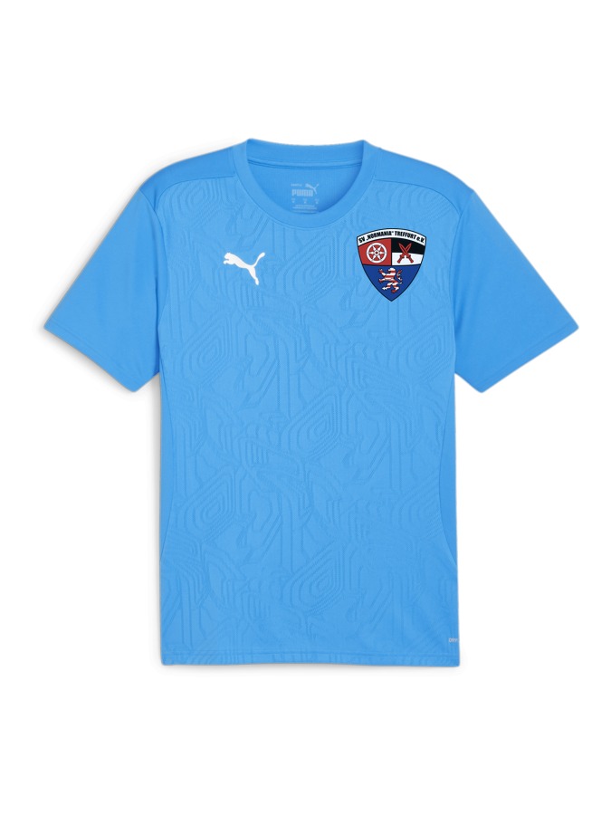 PUMA teamFINAL Trainingsshirt