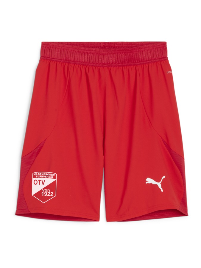 PUMA teamFINAL Shorts