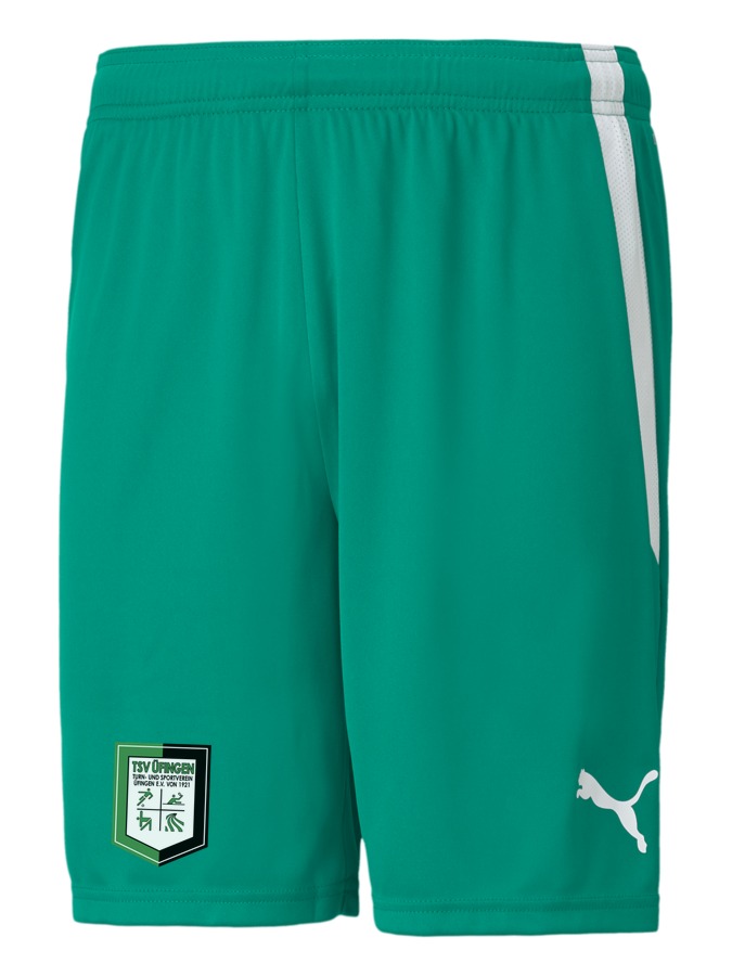 PUMA teamLIGA Shorts