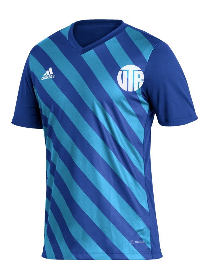 adidas Entrada 22 GFX Trikot