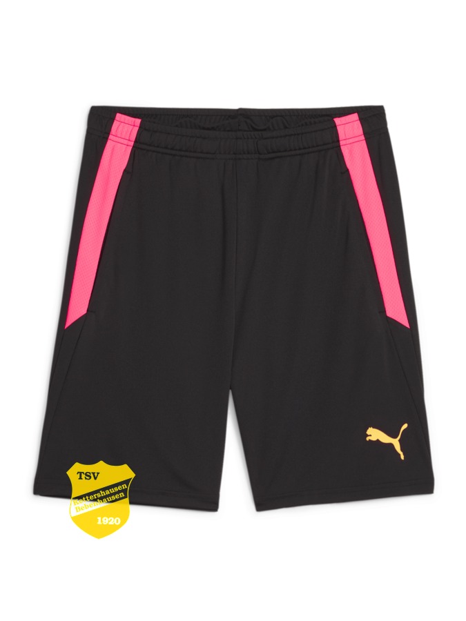 PUMA teamLIGA Training Shorts 2 (Offene Taschen)