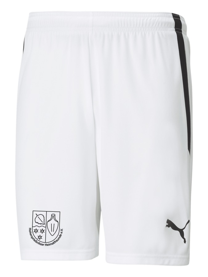 PUMA teamLIGA Shorts