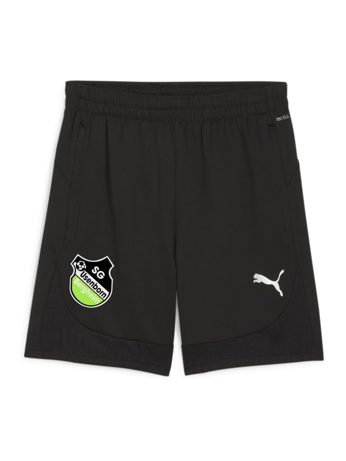PUMA teamFINAL Training Shorts