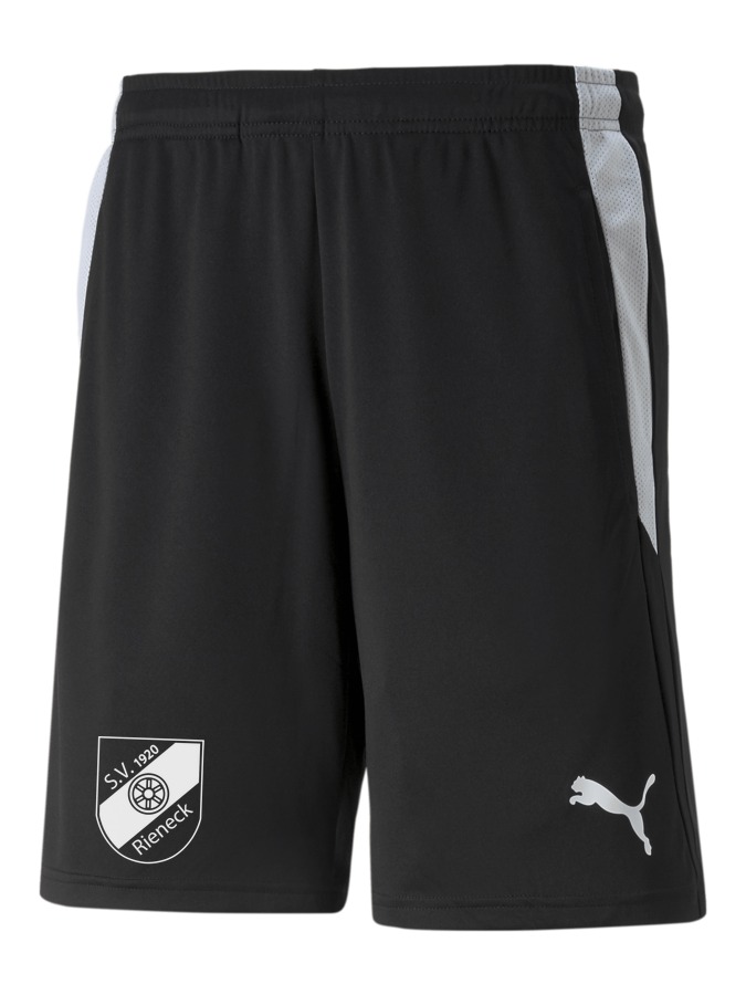 PUMA teamLIGA Referee Shorts