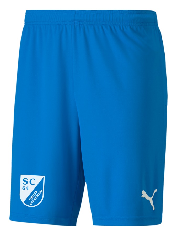 PUMA teamGOAL 23 Knit Shorts