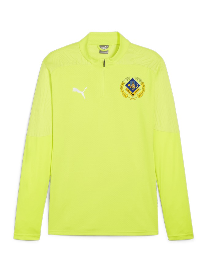 PUMA teamFINAL Training 1/4-Zip-Top