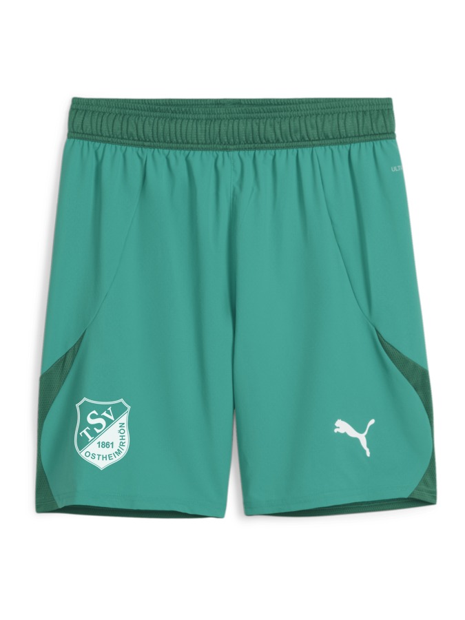 PUMA teamFINAL Shorts