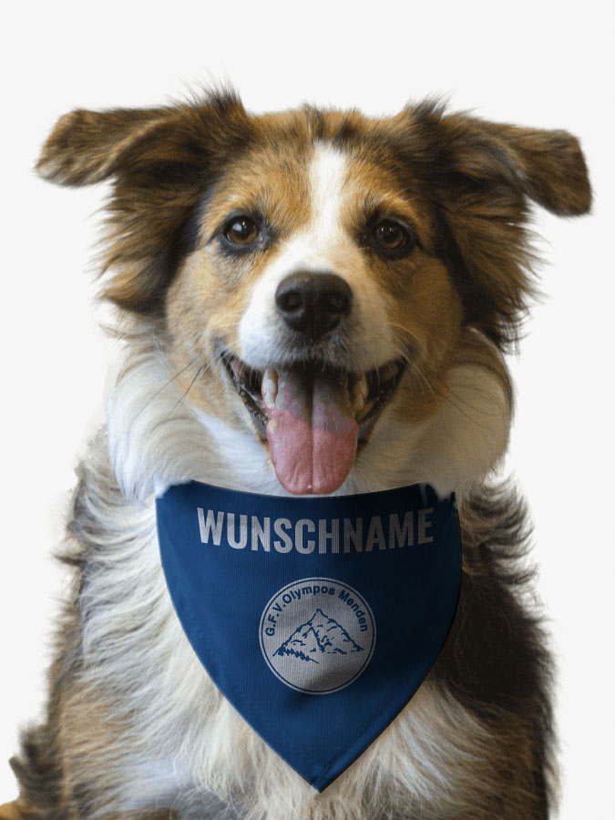 Hundehalstuch