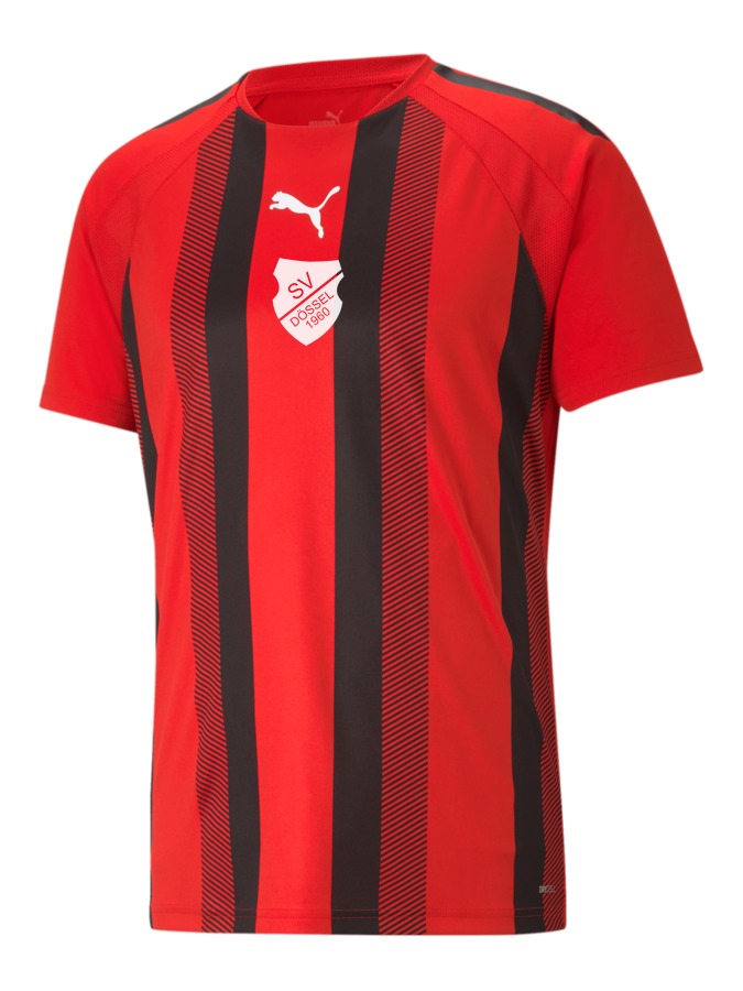PUMA teamLIGA Striped Trikot