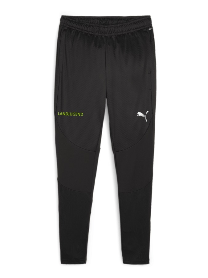 PUMA teamFINAL Trainingshose