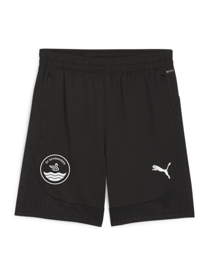 PUMA teamFINAL Training Shorts