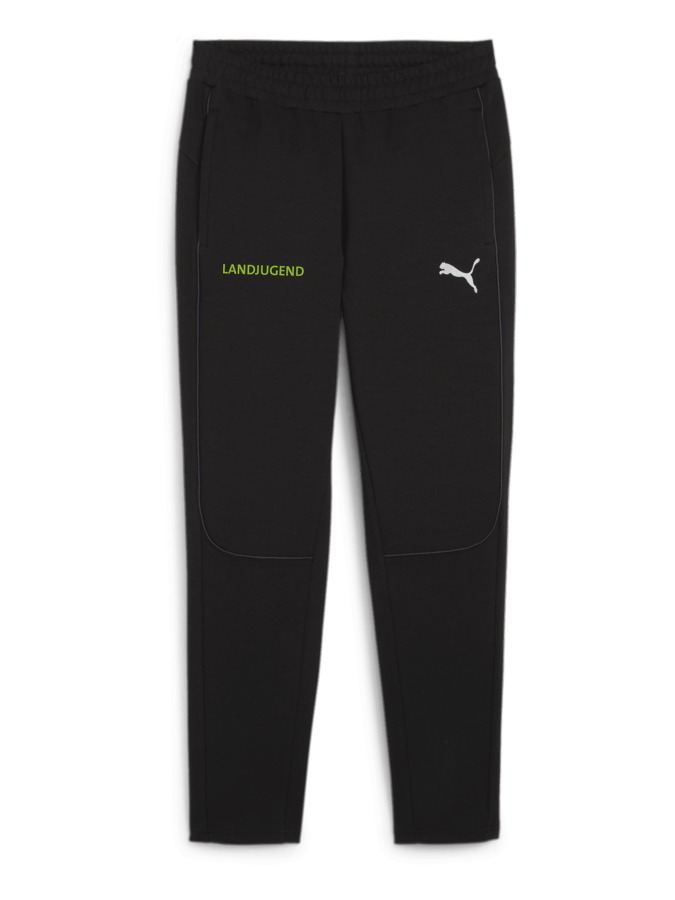 PUMA teamFINAL Casuals Hose