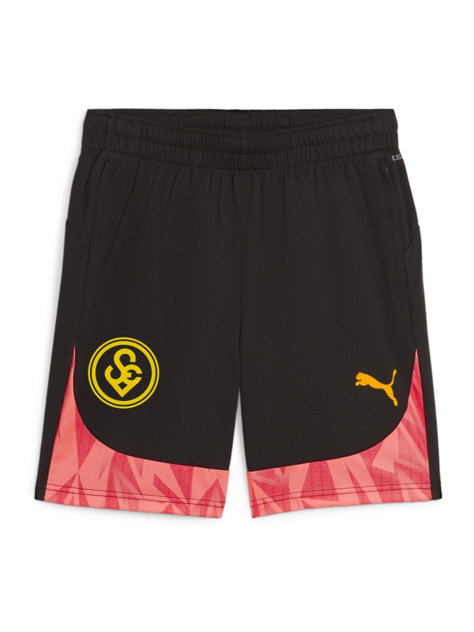 PUMA individualFINAL Shorts