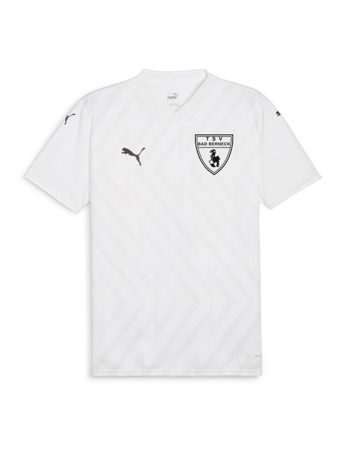 PUMA teamGLORY Trikot