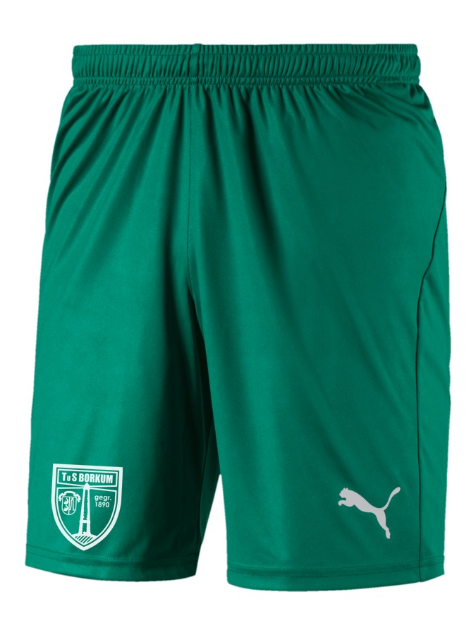 PUMA LIGA Shorts Core