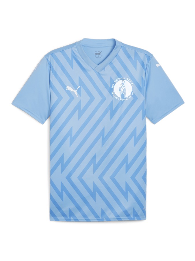 PUMA teamGLORY Trikot